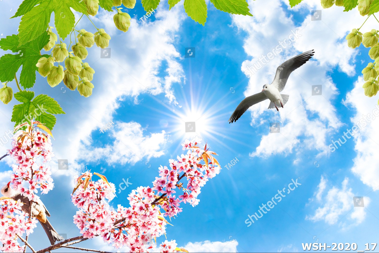 Dán trần trời xanh và hoa WSH-2020_17